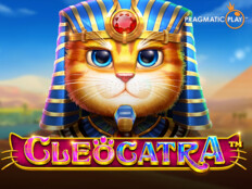 Muhabbet kuşu sevildiğini anlar mı. High roller casino slots.25